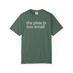 the plate is  CC1717 T-shirt
