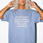 America 250 Picnic CC1717T-shirt