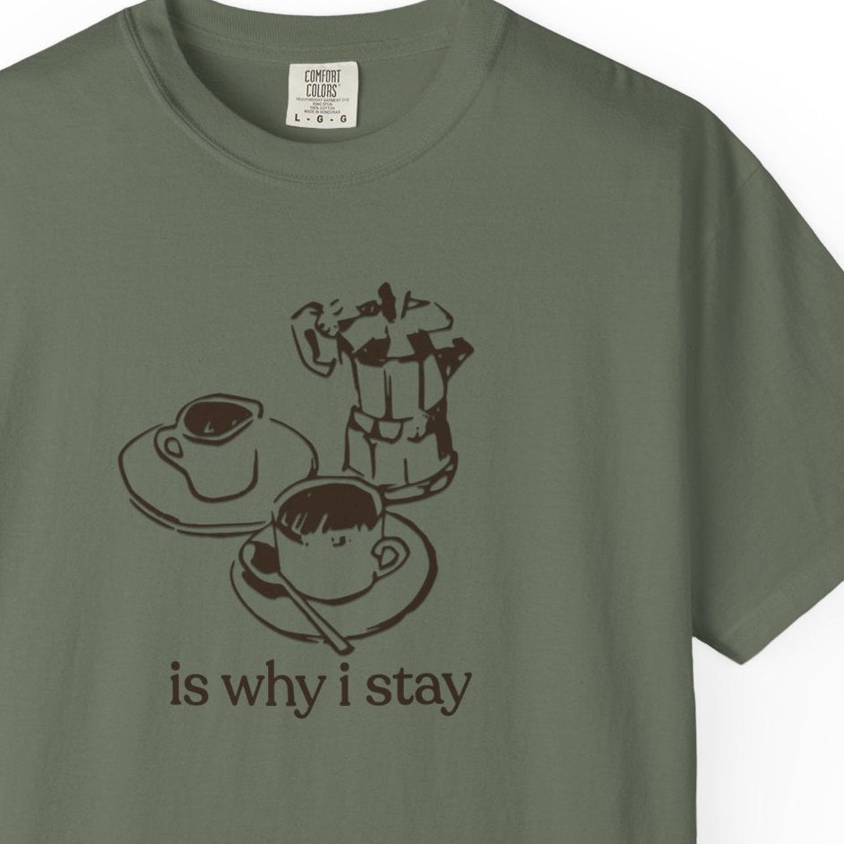 is why i stay T-shirt