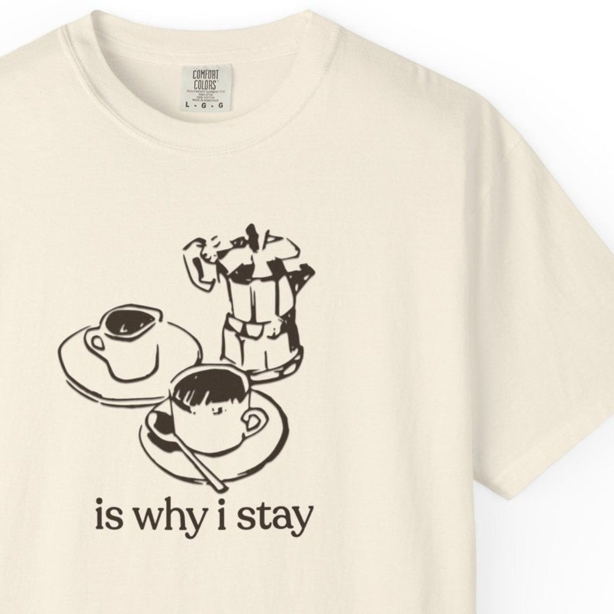 is why i stay T-shirt
