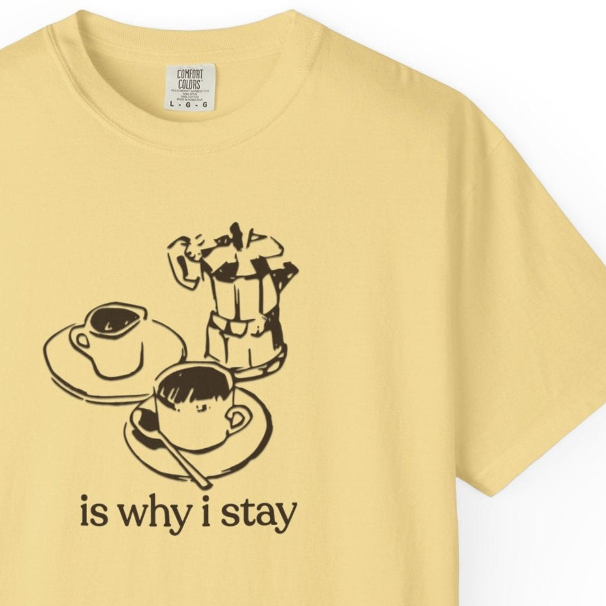 is why i stay T-shirt